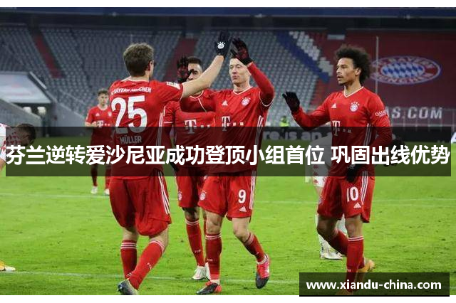 芬兰逆转爱沙尼亚成功登顶小组首位 巩固出线优势