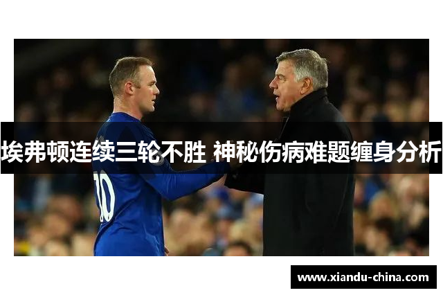 埃弗顿连续三轮不胜 神秘伤病难题缠身分析