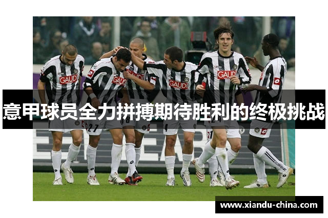 意甲球员全力拼搏期待胜利的终极挑战