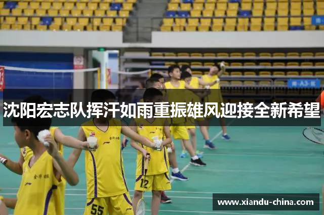 沈阳宏志队挥汗如雨重振雄风迎接全新希望