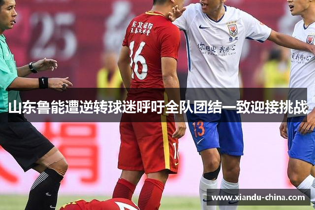 山东鲁能遭逆转球迷呼吁全队团结一致迎接挑战
