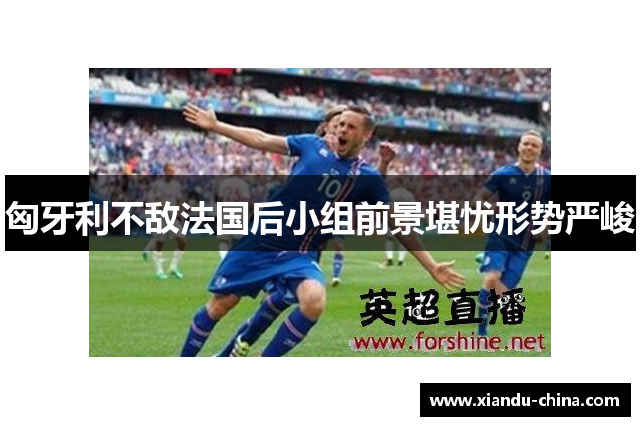 匈牙利不敌法国后小组前景堪忧形势严峻