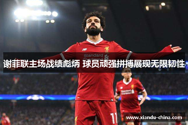 谢菲联主场战绩彪炳 球员顽强拼搏展现无限韧性