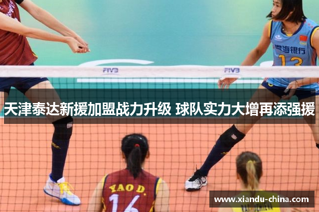天津泰达新援加盟战力升级 球队实力大增再添强援