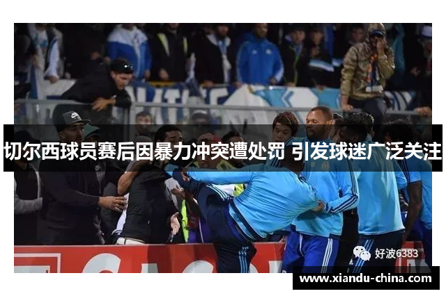 切尔西球员赛后因暴力冲突遭处罚 引发球迷广泛关注