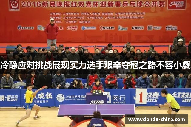 冷静应对挑战展现实力选手艰辛夺冠之路不容小觑