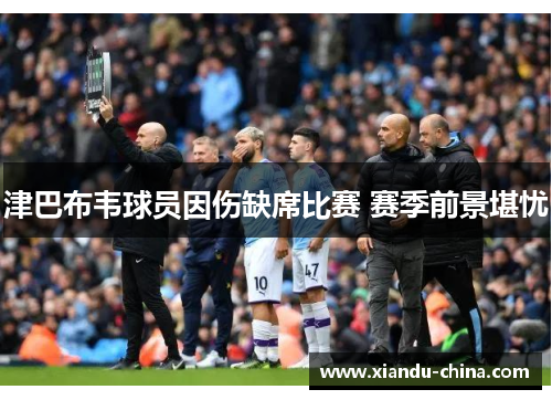 津巴布韦球员因伤缺席比赛 赛季前景堪忧