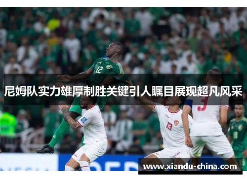 尼姆队实力雄厚制胜关键引人瞩目展现超凡风采