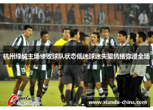 杭州绿城主场惨败球队状态低迷球迷失望情绪弥漫全场