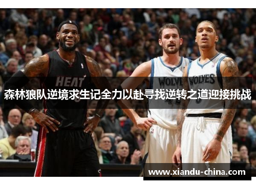 森林狼队逆境求生记全力以赴寻找逆转之道迎接挑战