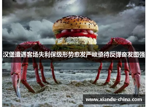 汉堡遭遇客场失利保级形势愈发严峻亟待反弹奋发图强