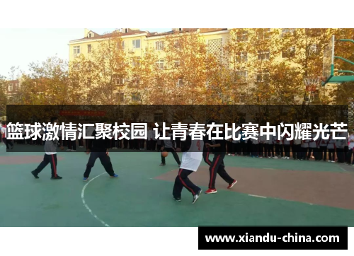 篮球激情汇聚校园 让青春在比赛中闪耀光芒