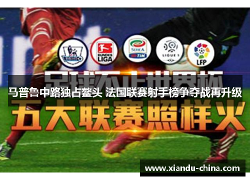 马普鲁中路独占鳌头 法国联赛射手榜争夺战再升级