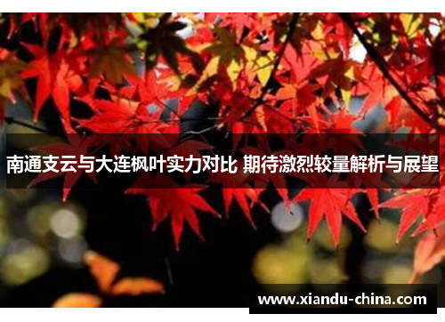 南通支云与大连枫叶实力对比 期待激烈较量解析与展望