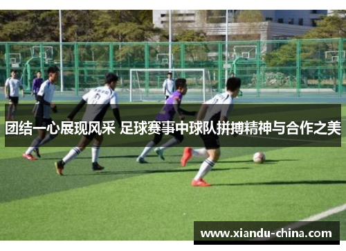 团结一心展现风采 足球赛事中球队拼搏精神与合作之美