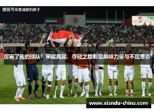 厉害了我的球队！荣耀再起，夺冠之路彰显巅峰力量与不屈意志