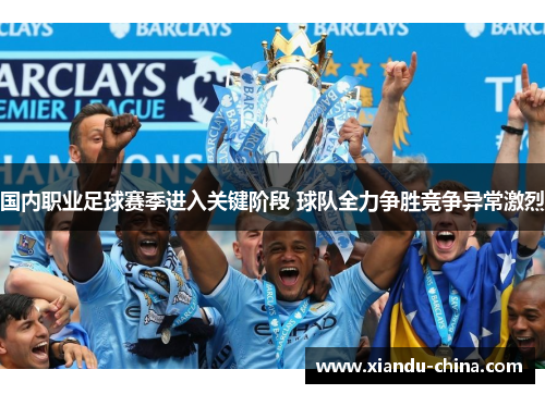 国内职业足球赛季进入关键阶段 球队全力争胜竞争异常激烈
