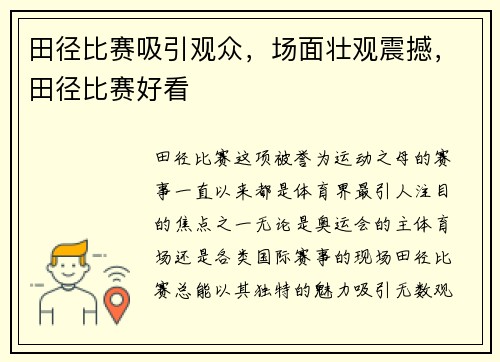 田径比赛吸引观众，场面壮观震撼，田径比赛好看